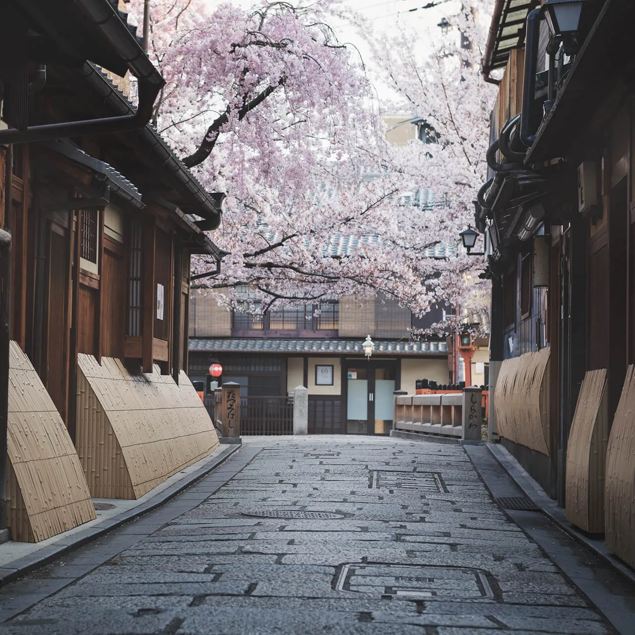白川